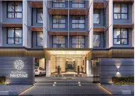 PLATINUM PRISTINE – gallery image 2